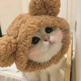 好好生活