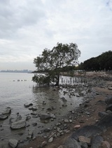岁月静好