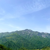 Zhangyanzi