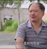 苜蓿