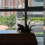 墨染云