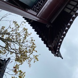 东方清澈