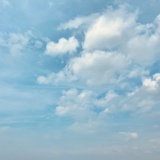 希陈不复