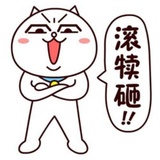胖胖是只猫