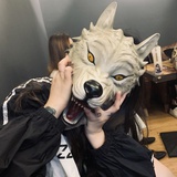 小羊绵绵