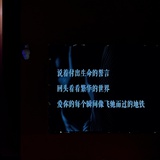 牯岭街的少年P