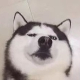 徐晓季