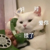 蘑菇。。蘑菇。
