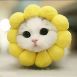 孔奕玮