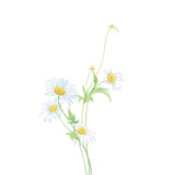 Ina