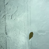 念芝