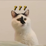 qwq987