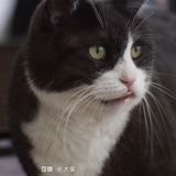 -不负爱恨