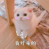 木石君