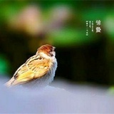 亲爱的南北620
