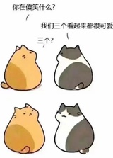 鸡腿菜菜子