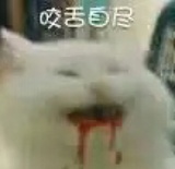 霍遇