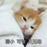 心慌慌