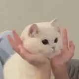 该账号已注销