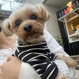 yuki