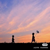 宝儿姐