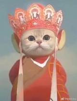拾页