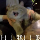 運動부족