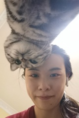 楚蕾