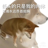破忒头
