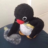 穷纪吾