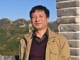 雁在蓝天