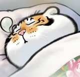 宽俞