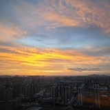 阿庭tiana