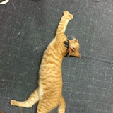 みわちん