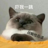 虞缱