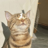 长孙铭蕾