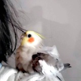 奉小满