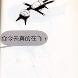 会飞的驴儿