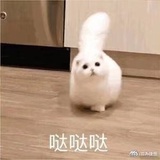 茼蒿好吃