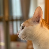 大湖潇潇