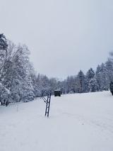 申申