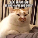 打小豹