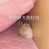 汪小满