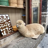 绿豆燕麦粥
