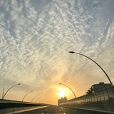 颜洛菲