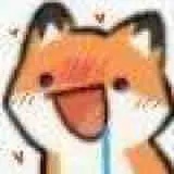 闪包