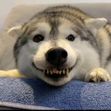 ?!