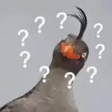 ？？？？