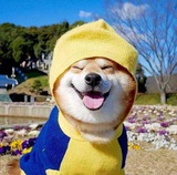 李椰耶