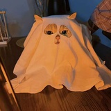 LilBamboo